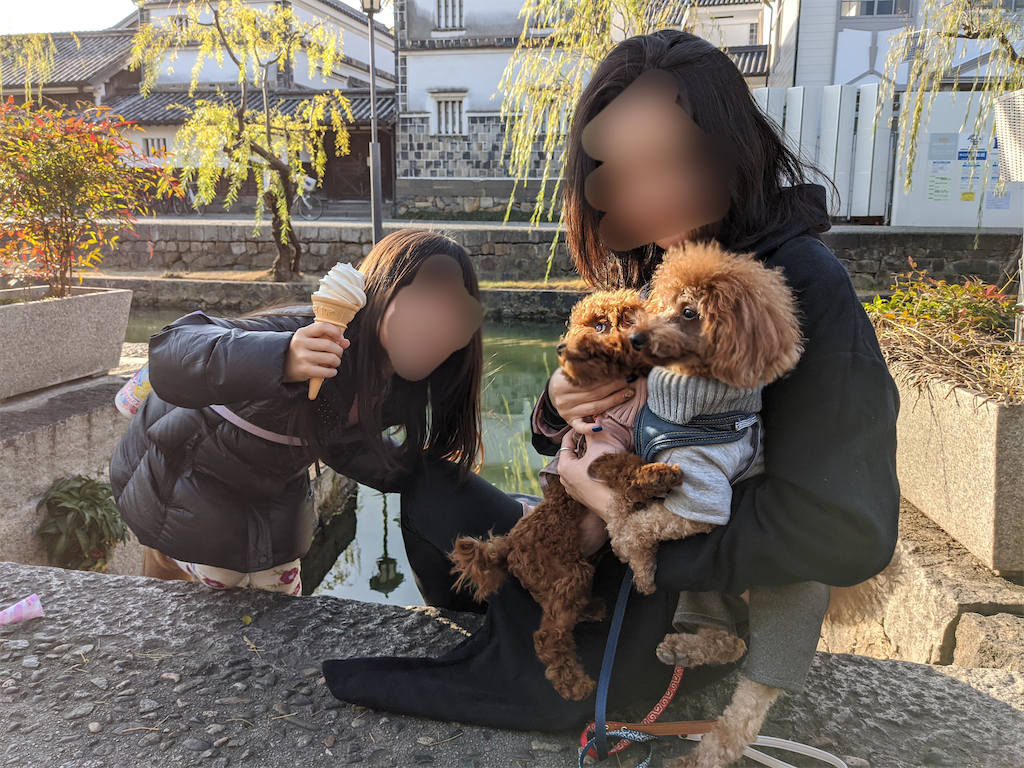 f:id:aresorekore:20191218161443p:image