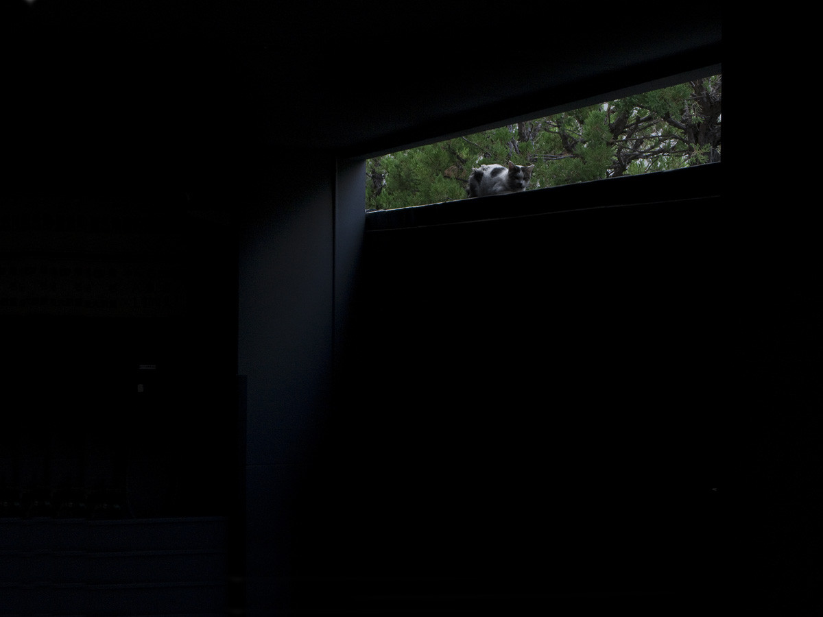 f:id:areti:20100907165522j:image