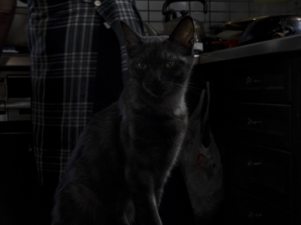 f:id:areti:20111103190217j:image