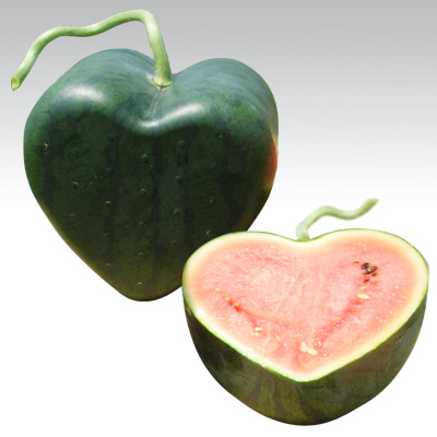 f:id:arex1927:20170810162206j:plain