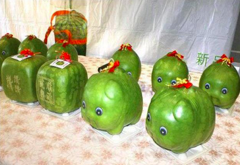 f:id:arex1927:20170810162420p:plain