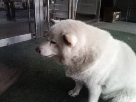 f:id:arg:20071210004555j:image