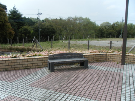 f:id:arg:20090418142502j:image:w300