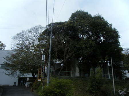 f:id:arg:20090418154500j:image:w300