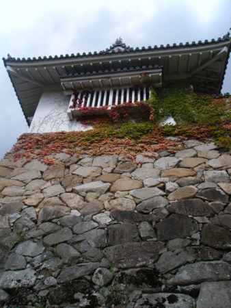 f:id:arg:20091010123558j:image:w200