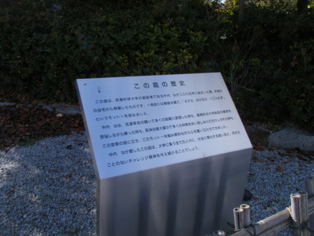 f:id:arg:20100108135323j:image:w200