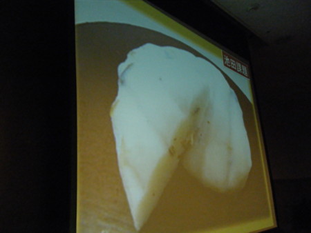 f:id:arg:20100228084117j:image:w100 f:id:arg:20100228084117j:image:w100
