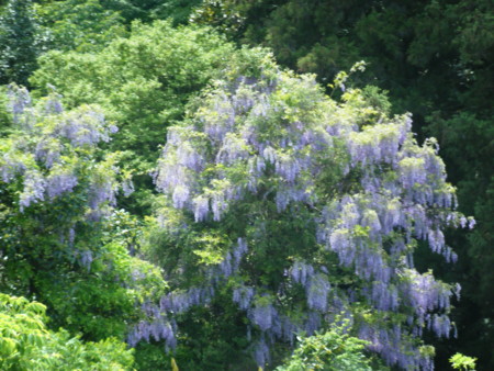 f:id:arg:20100509164240j:image:w200