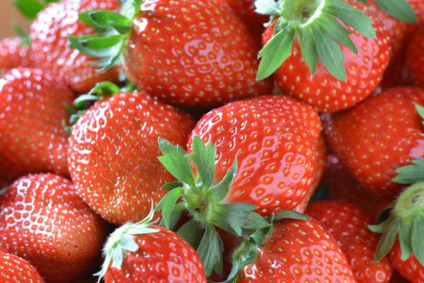 f:id:arhome:20180116094022j:plain f:id:arhome:20180116094022j:plain