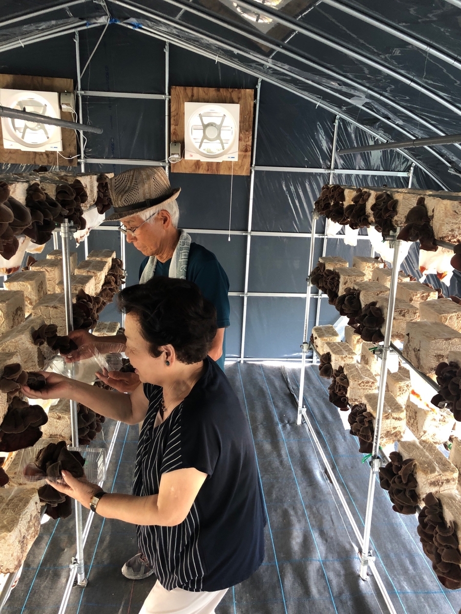 f:id:arhome:20190801121454j:plain