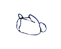 f:id:ari-kui:20090929113858j:image f:id:ari-kui:20090929113858j:image
