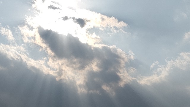 f:id:ari_3:20210208010848j:image f:id:ari_3:20210208010848j:image