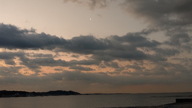 f:id:ari_3:20210208072055j:image f:id:ari_3:20210208072055j:image