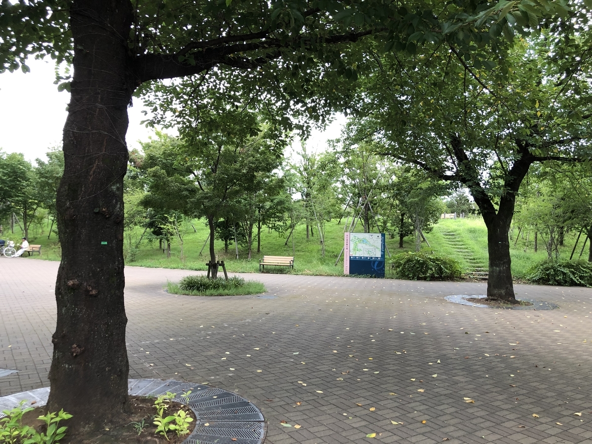 f:id:aria-921:20190818181836j:plain