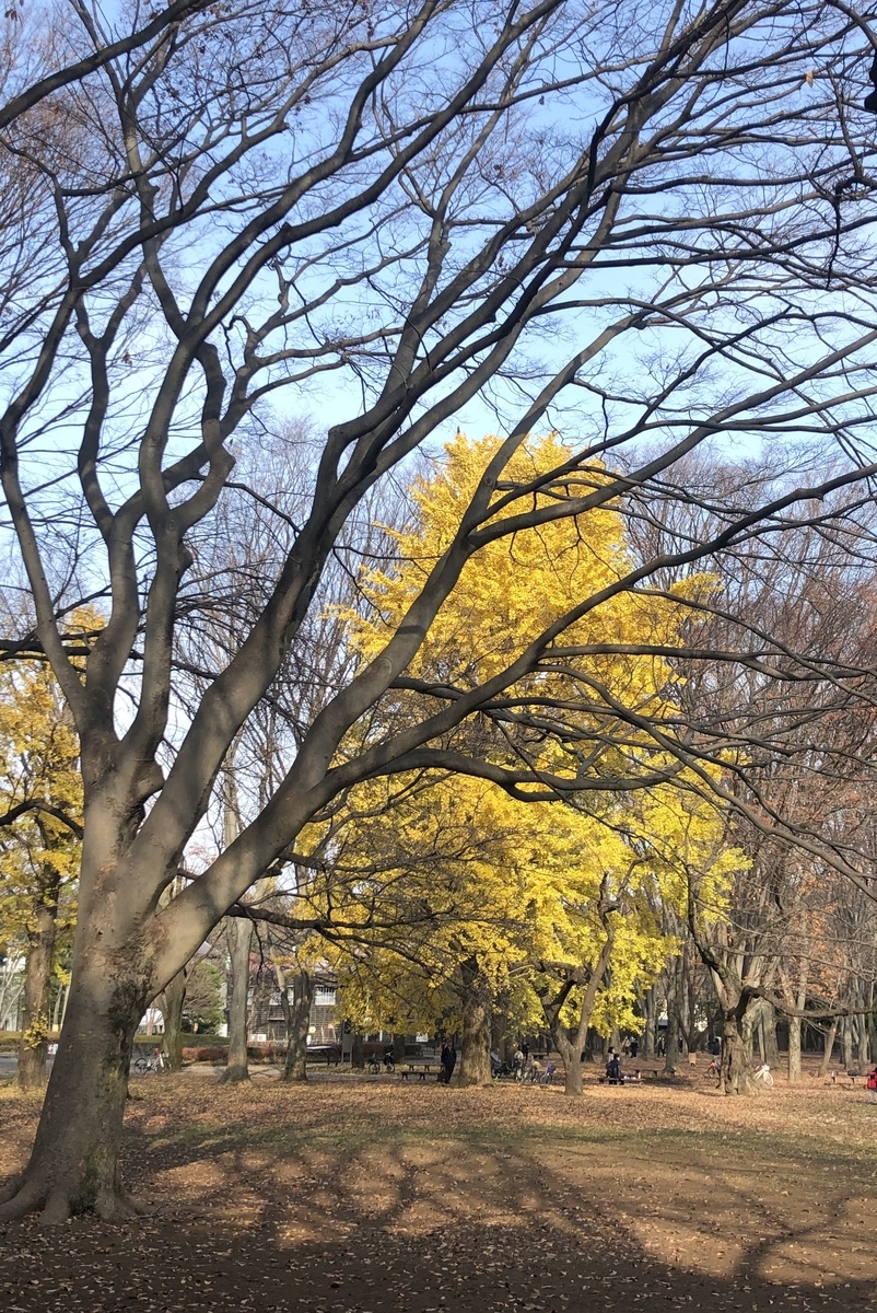 f:id:aria-921:20201213143415j:plain