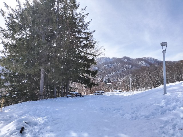 f:id:ariato:20240307094146j:image