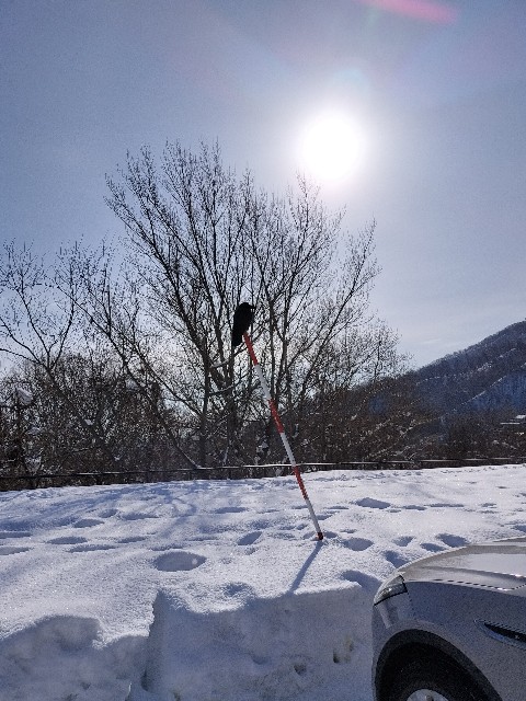f:id:ariato:20240321134316j:image