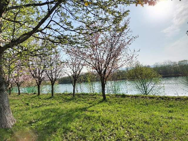 f:id:ariato:20240504002414j:image