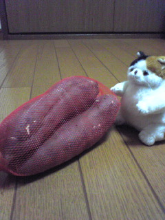 f:id:arice403s6c7:20120131172028j:image f:id:arice403s6c7:20120131172028j:image