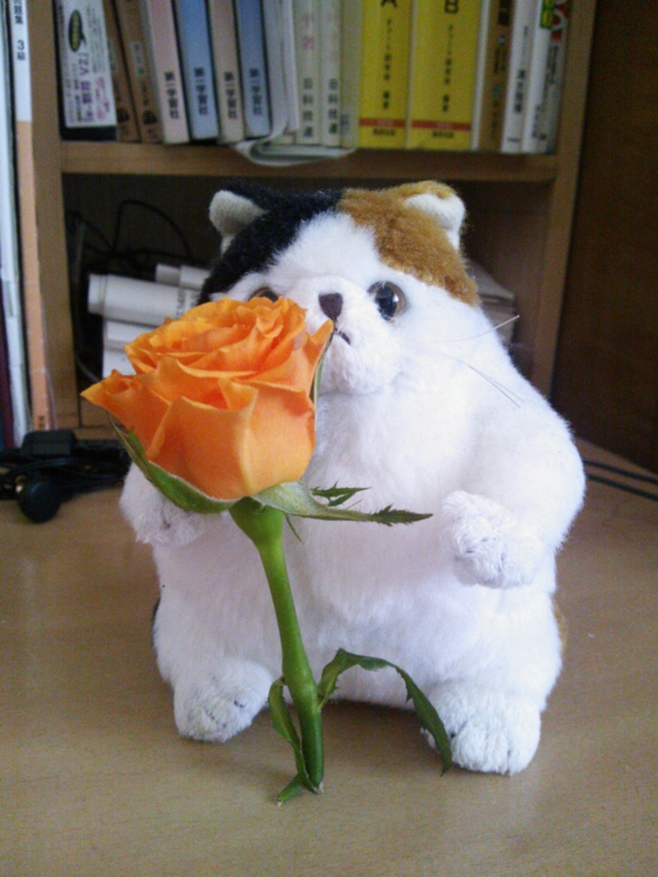 f:id:arice403s6c7:20120326111352j:image:w360