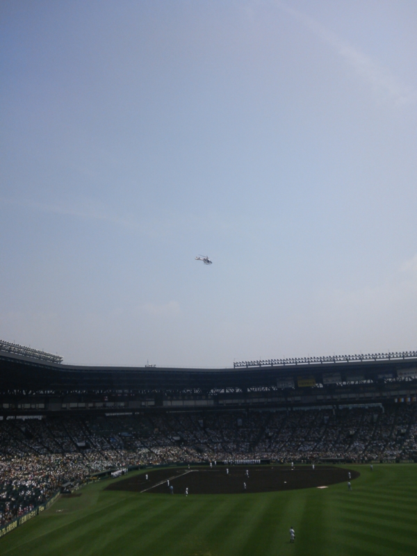 f:id:arice403s6c7:20130808102530j:image f:id:arice403s6c7:20130808102530j:image
