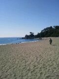 f:id:arice403s6c7:20140322190541j:image f:id:arice403s6c7:20140322190541j:image