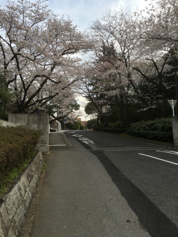 f:id:arice403s6c7:20160331155853j:image