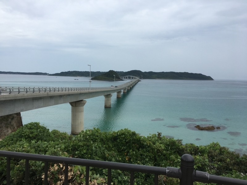 f:id:arice403s6c7:20180816113210j:image f:id:arice403s6c7:20180816113210j:image