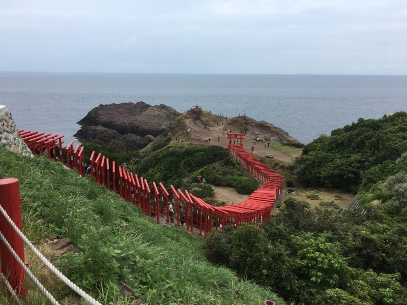 f:id:arice403s6c7:20180816135921j:image f:id:arice403s6c7:20180816135921j:image