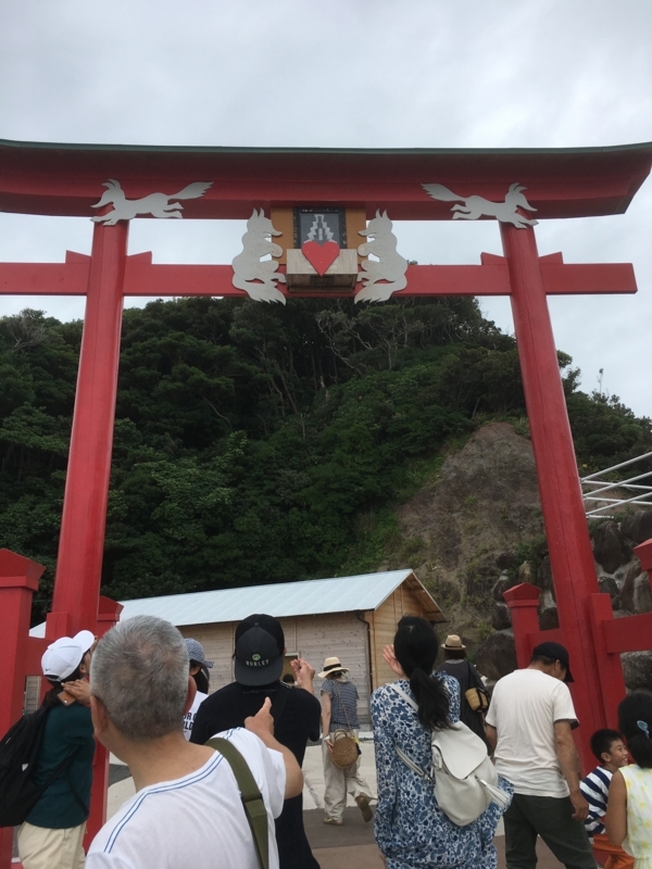 f:id:arice403s6c7:20180816141512j:image:w360 f:id:arice403s6c7:20180816141512j:image:w360