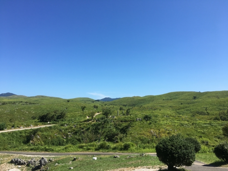 f:id:arice403s6c7:20180817095109j:image f:id:arice403s6c7:20180817095109j:image