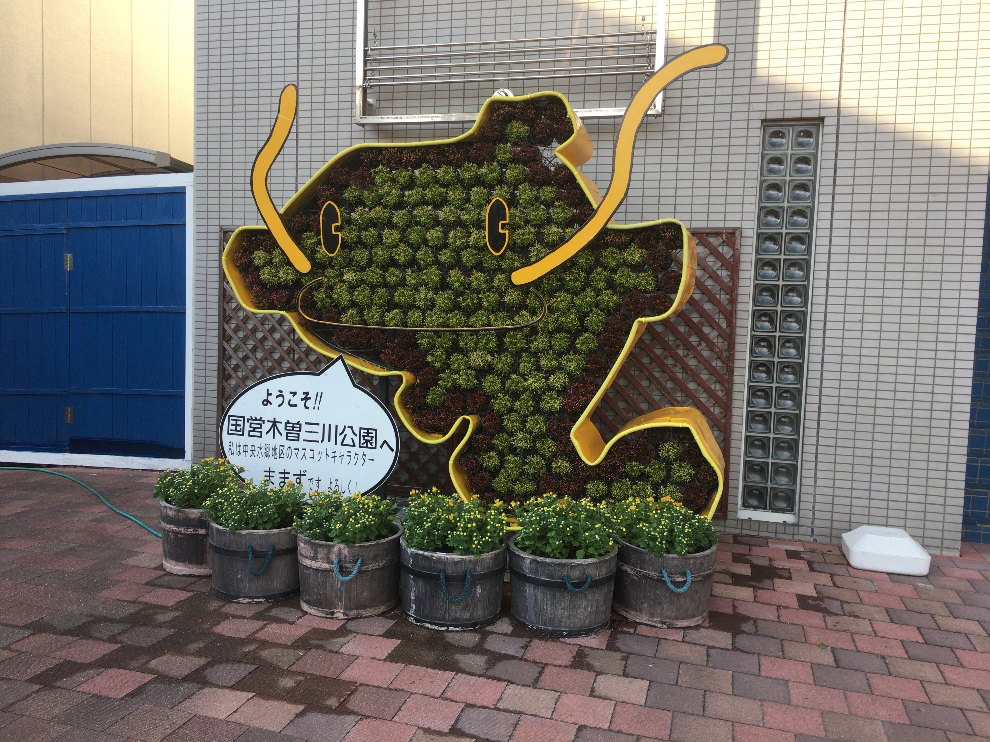 f:id:arice403s6c7:20181013152020j:plain:w500