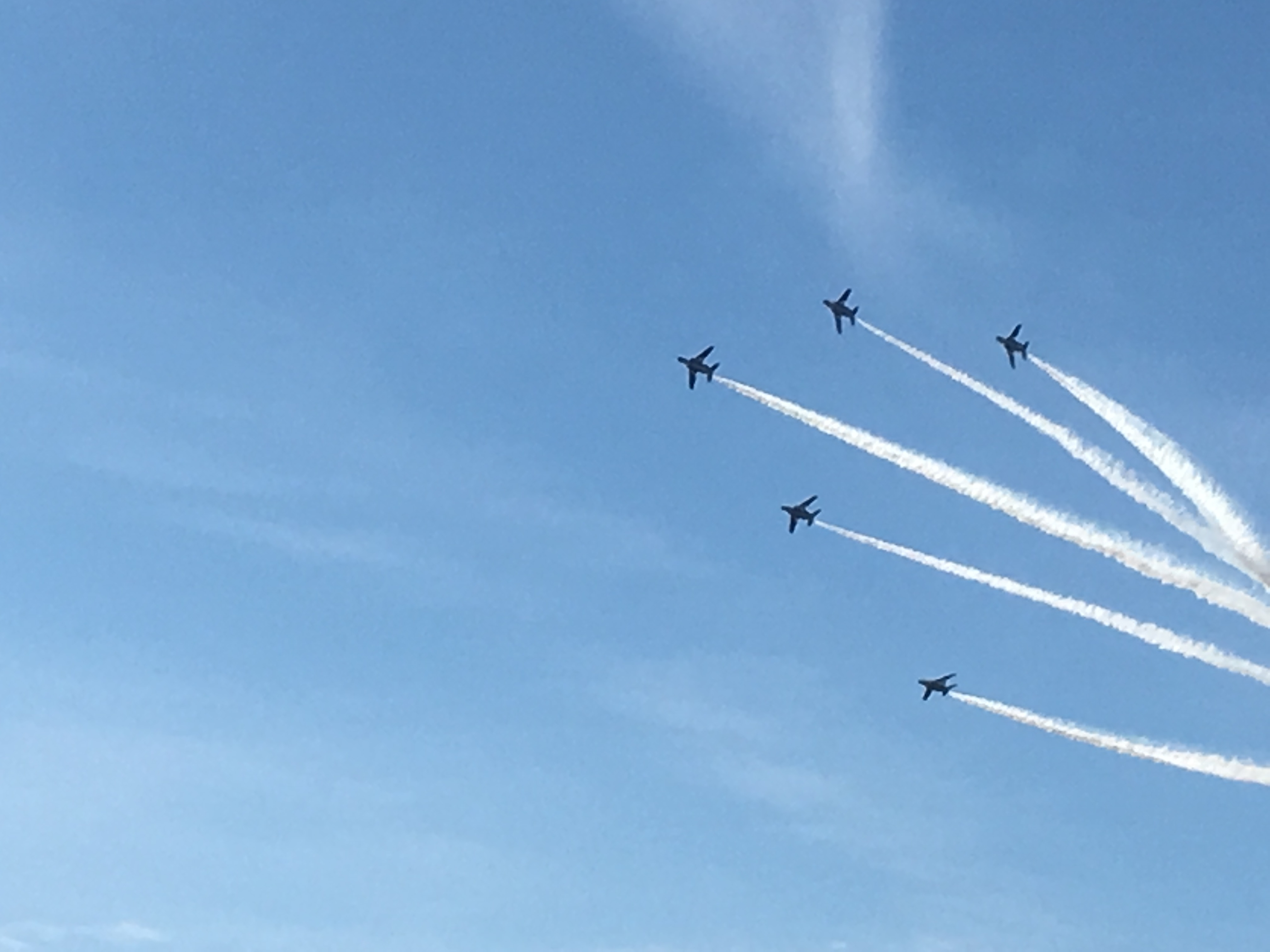 f:id:arice403s6c7:20181118113220j:plain:w500