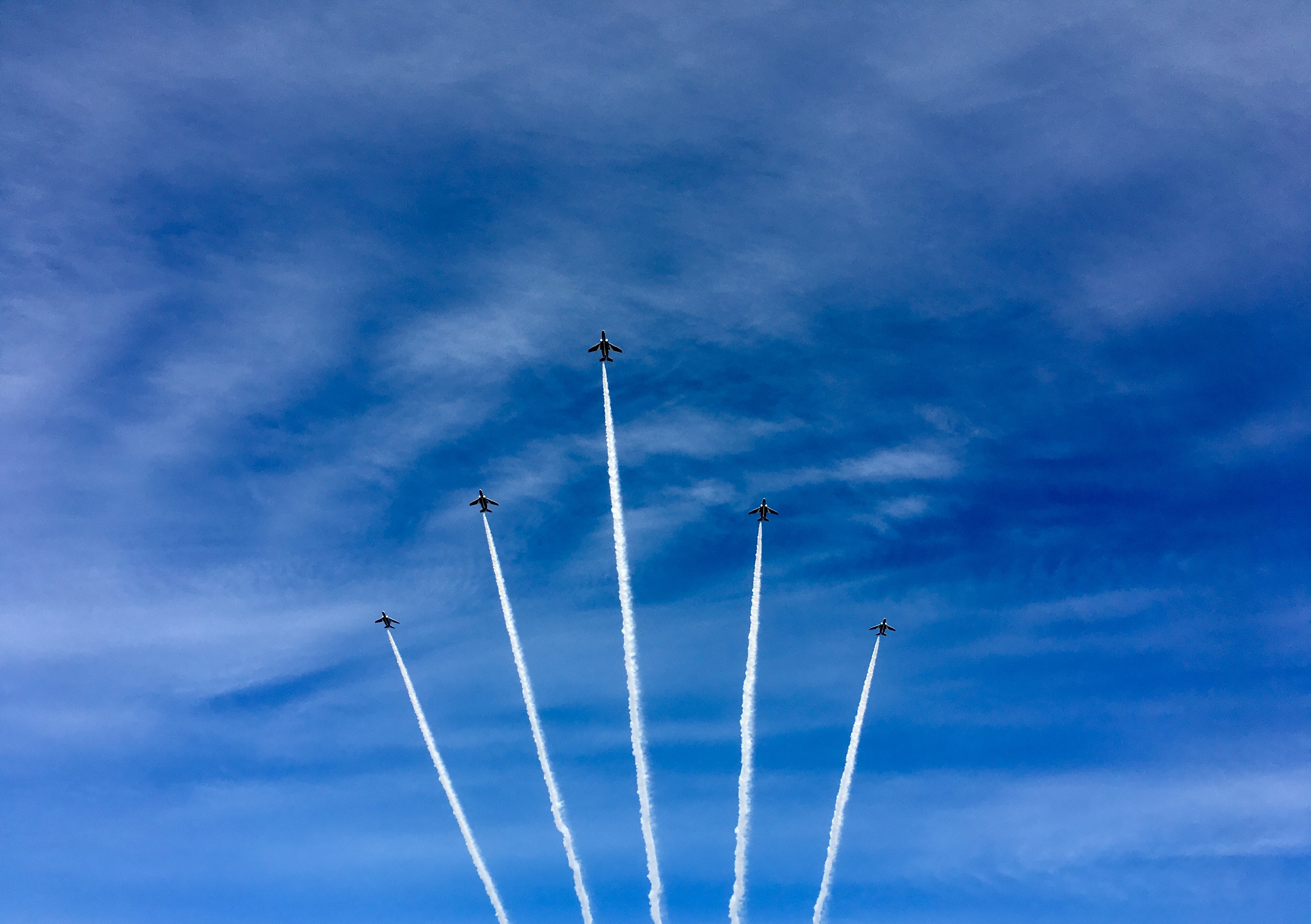 f:id:arice403s6c7:20181118114746j:plain:w500