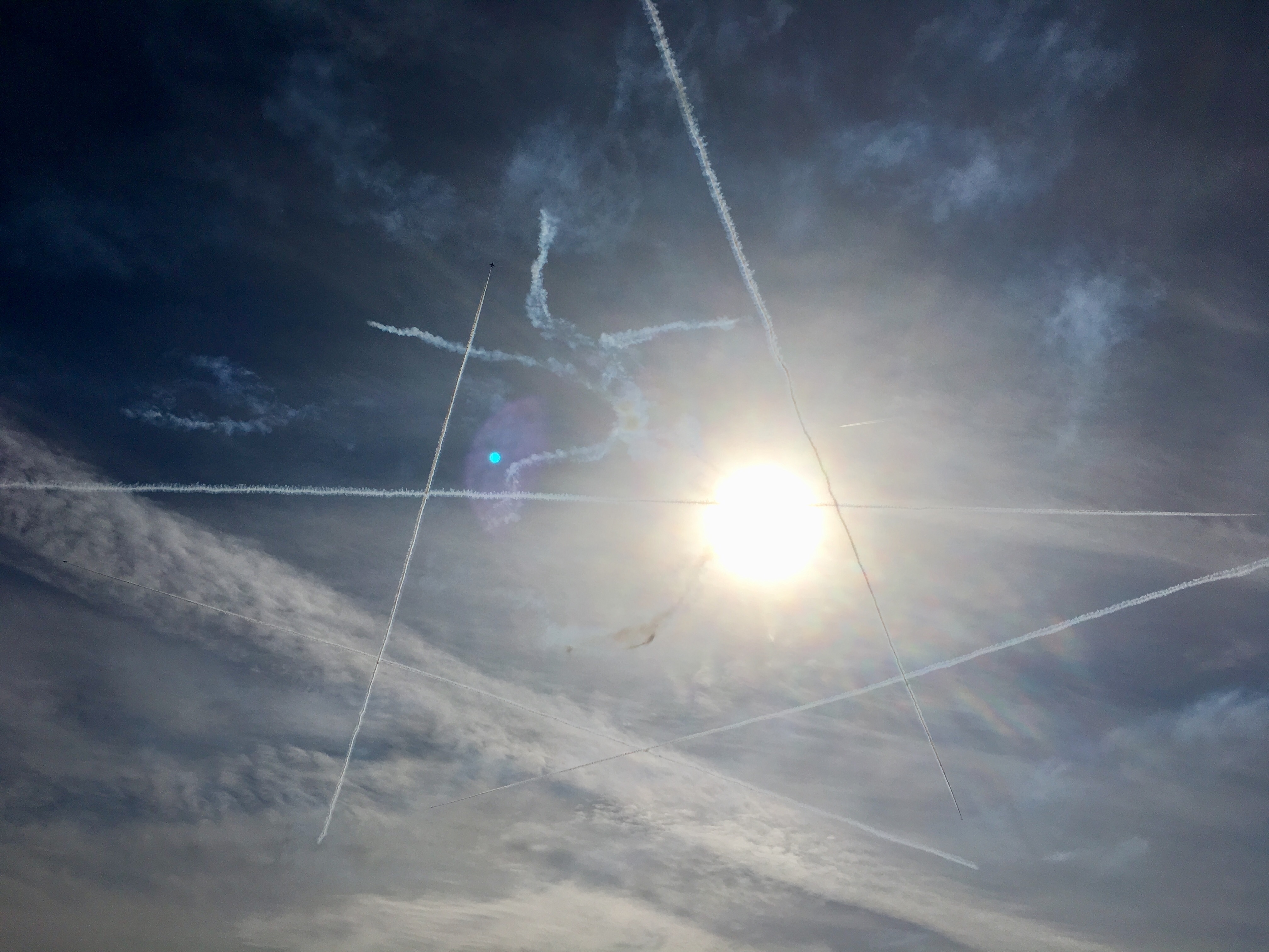 f:id:arice403s6c7:20181118115748j:plain:w500