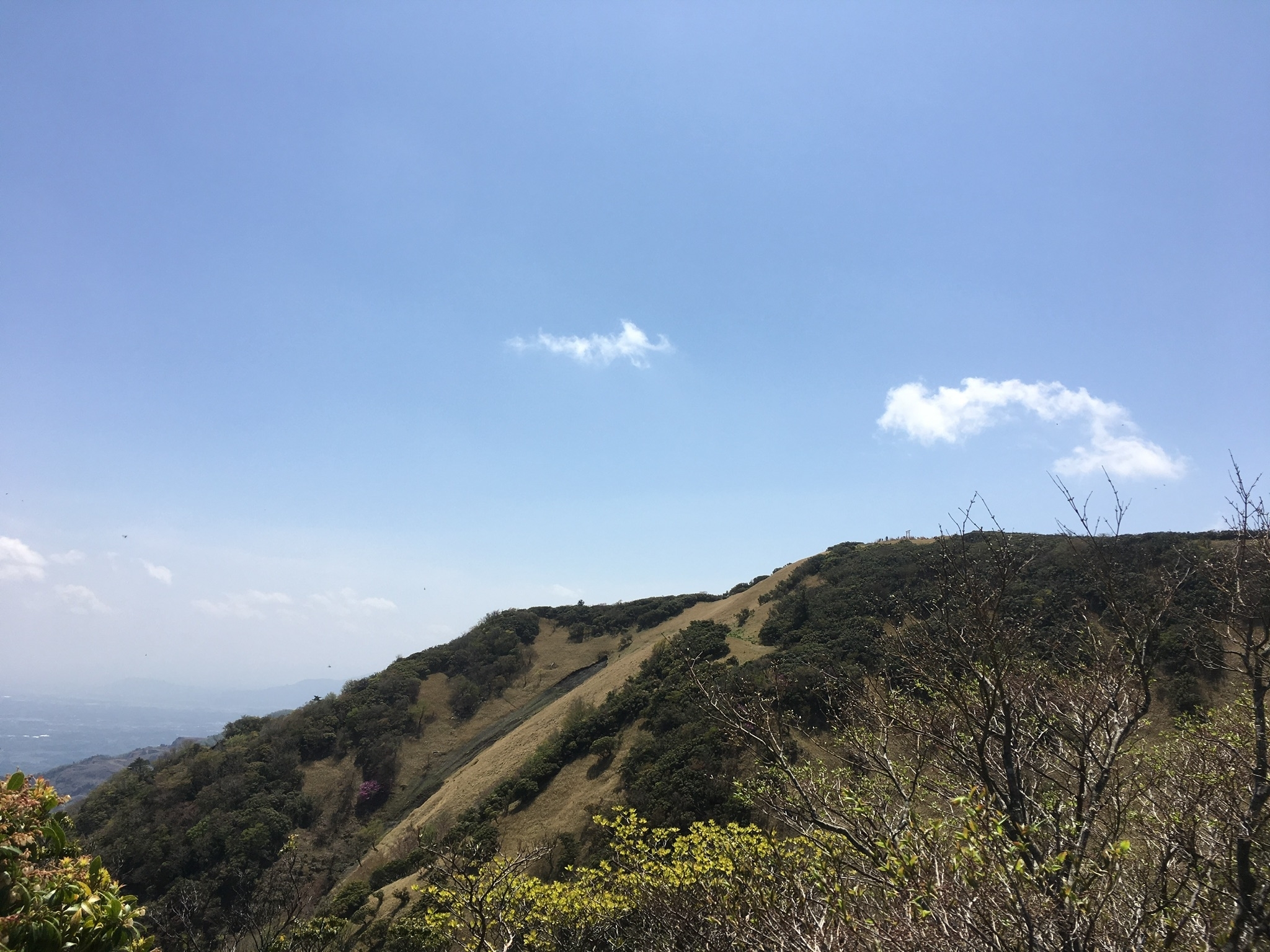 f:id:arice403s6c7:20190502124216j:plain f:id:arice403s6c7:20190502124216j:plain