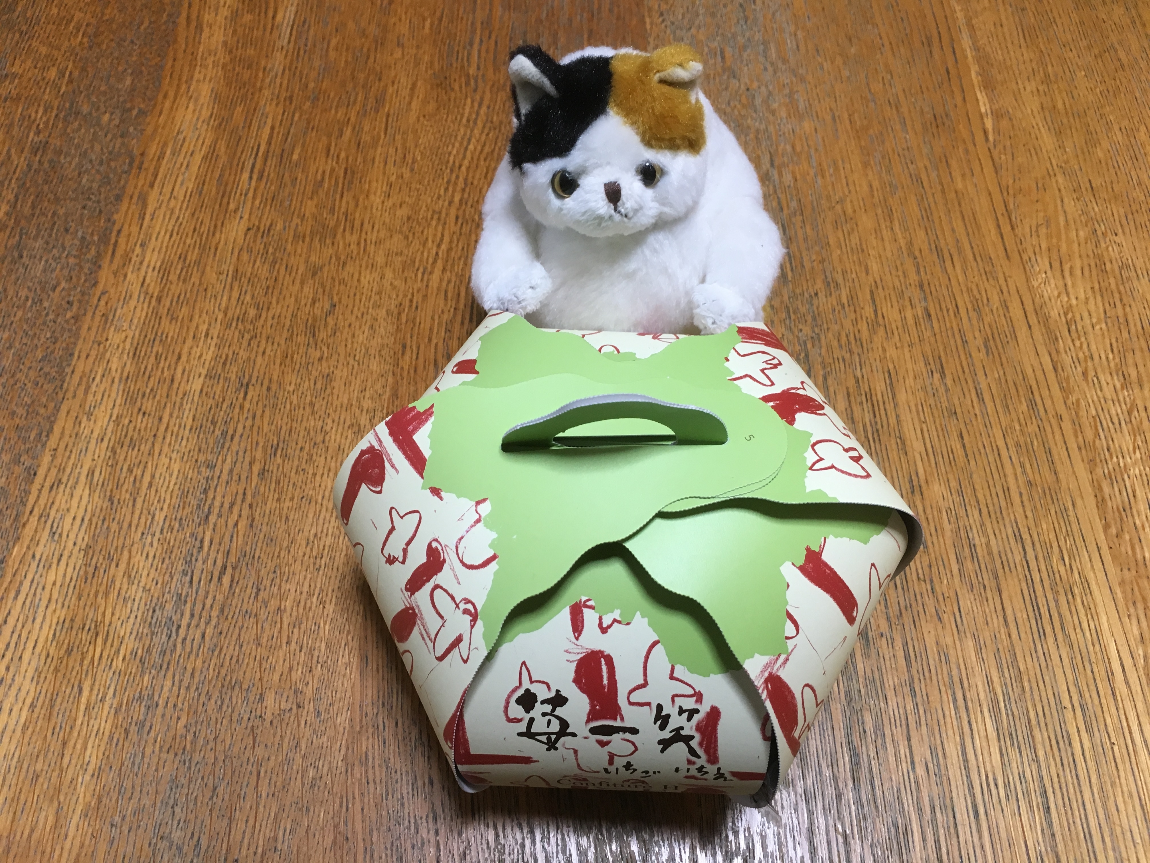 f:id:arice403s6c7:20190502212515j:plain f:id:arice403s6c7:20190502212515j:plain