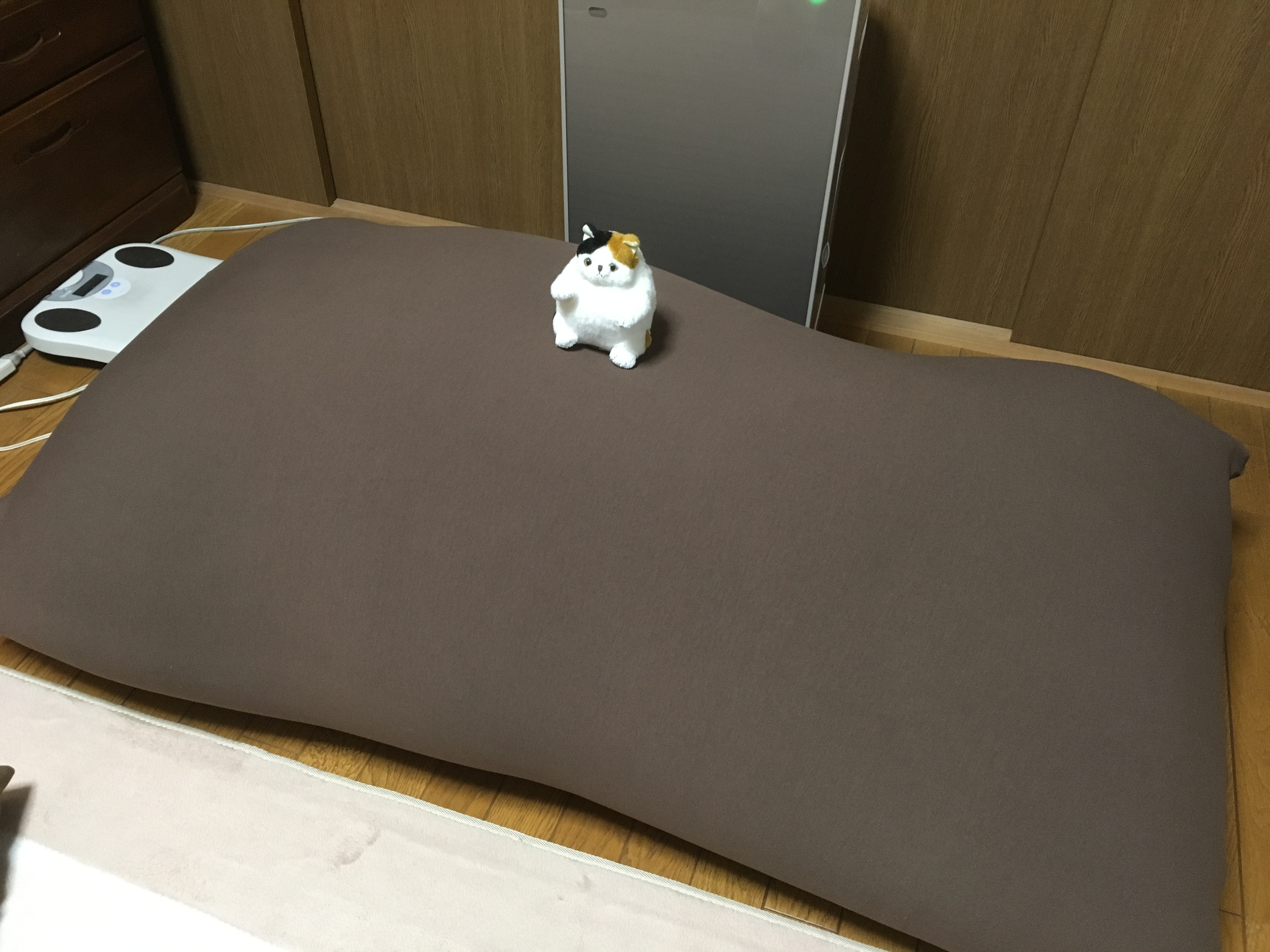 f:id:arice403s6c7:20190508181349j:plain