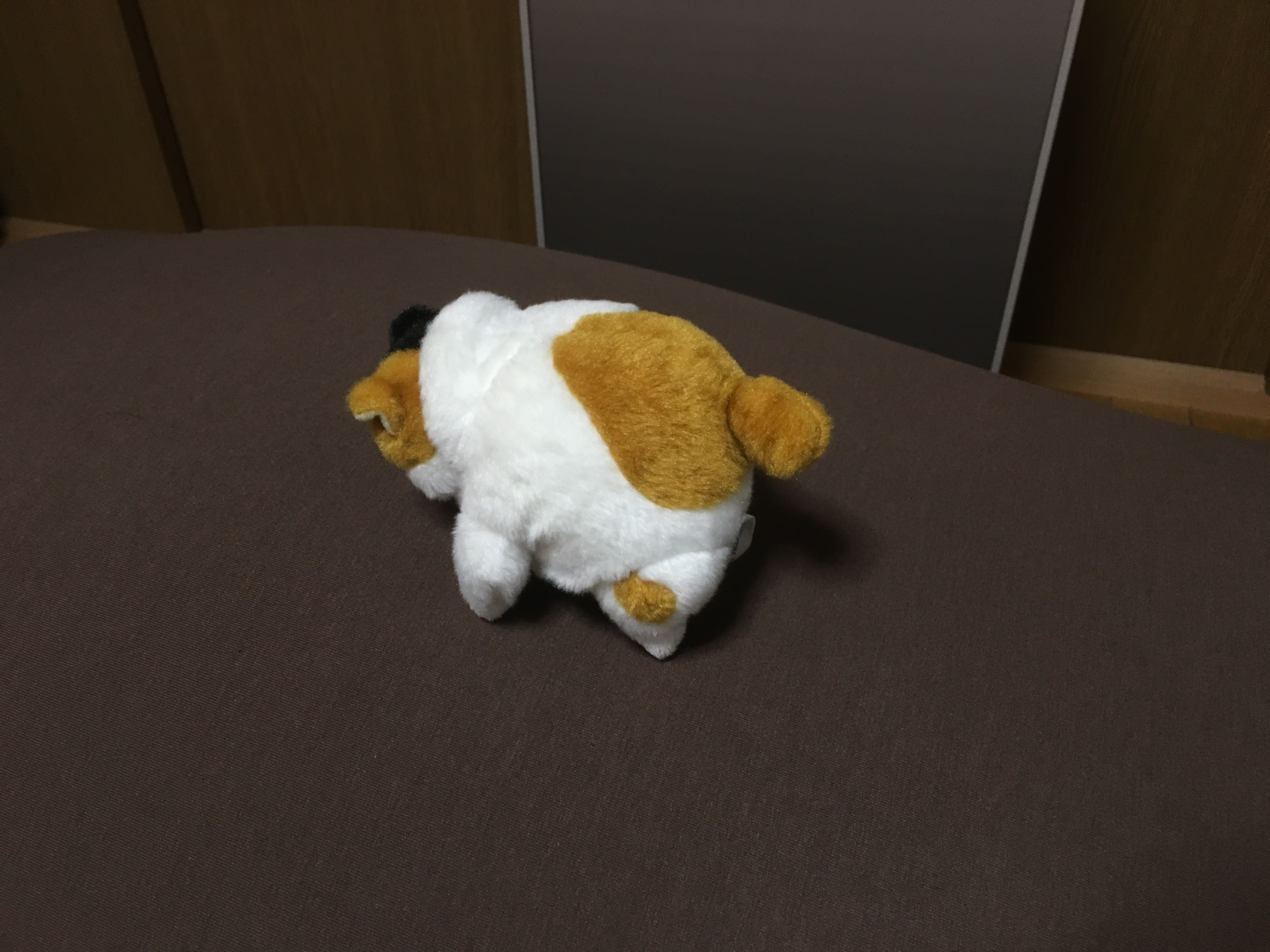 f:id:arice403s6c7:20190508181440j:plain