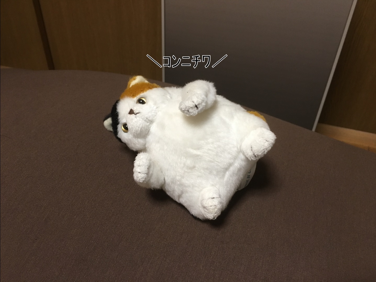 f:id:arice403s6c7:20190508190705j:plain