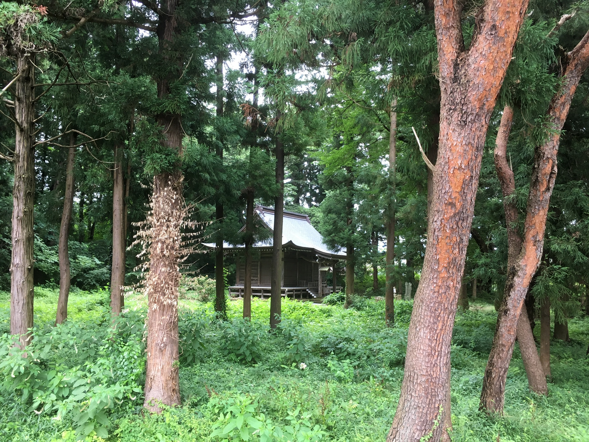 f:id:arice403s6c7:20190724120637j:plain f:id:arice403s6c7:20190724120637j:plain