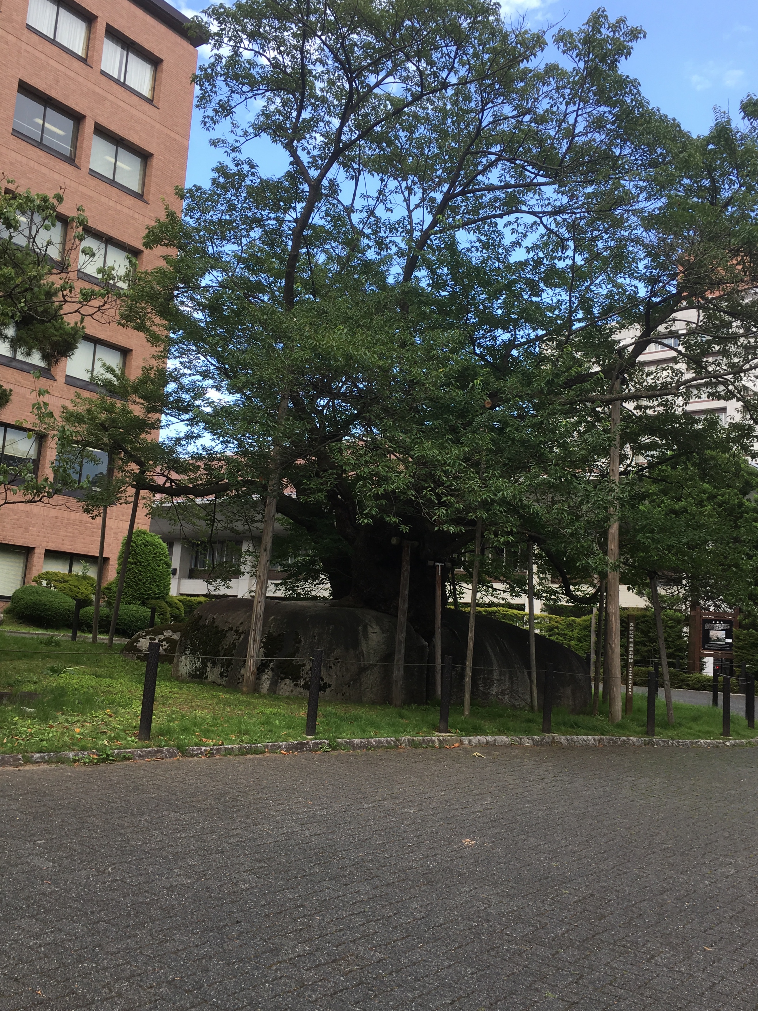 f:id:arice403s6c7:20190724162159j:plain:w500 f:id:arice403s6c7:20190724162159j:plain:w500