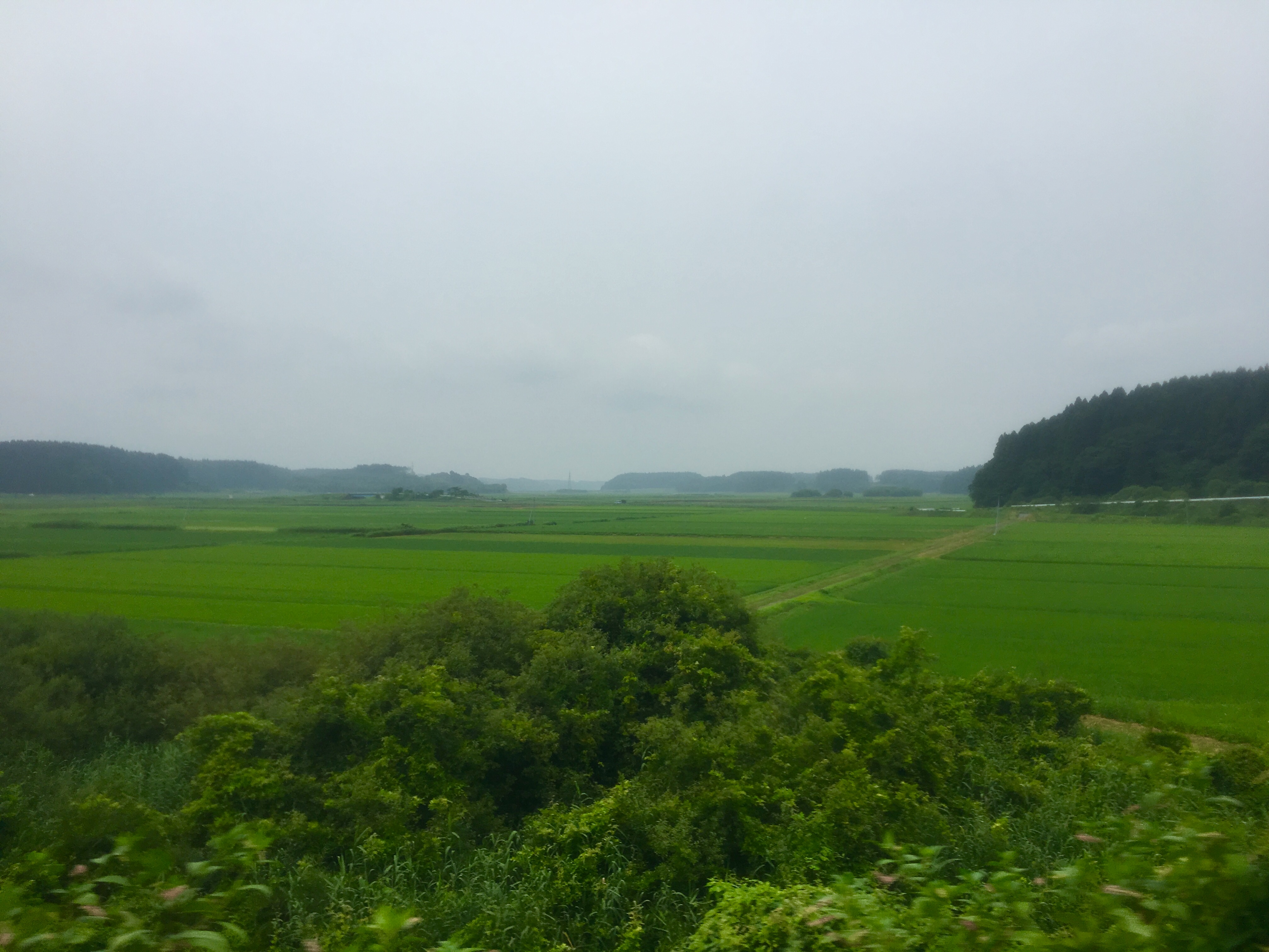 f:id:arice403s6c7:20190725092438j:plain f:id:arice403s6c7:20190725092438j:plain