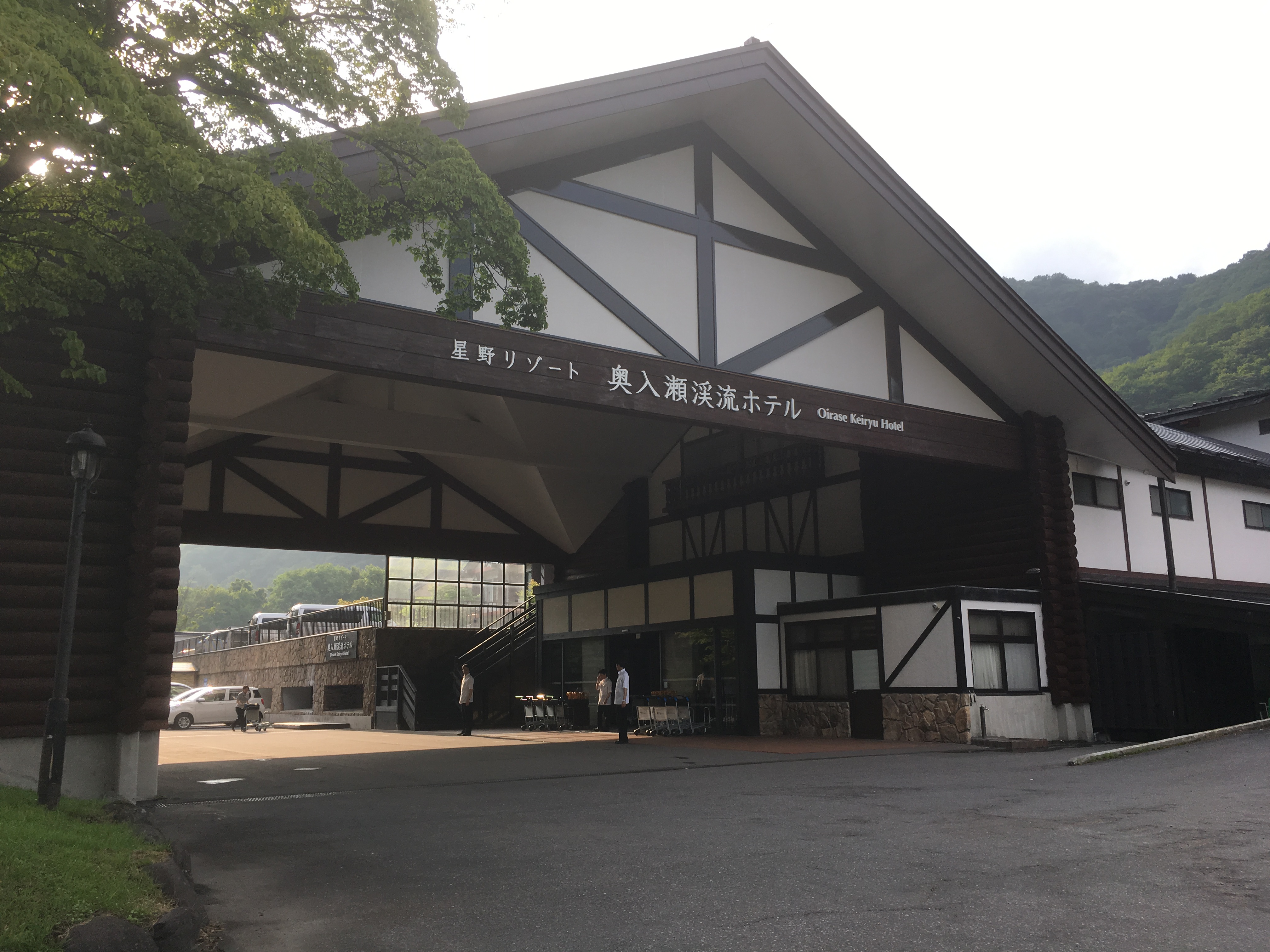f:id:arice403s6c7:20190725165019j:plain f:id:arice403s6c7:20190725165019j:plain