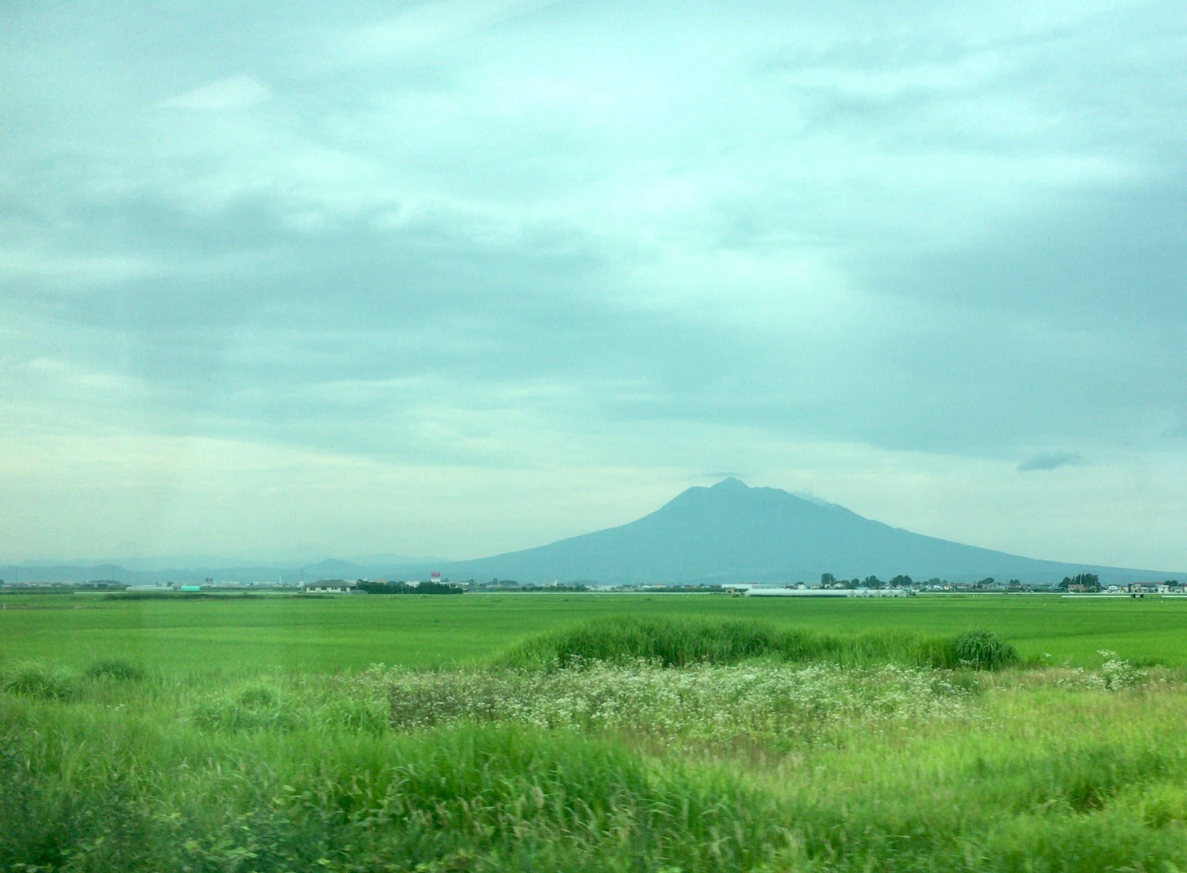 f:id:arice403s6c7:20190726131438j:plain