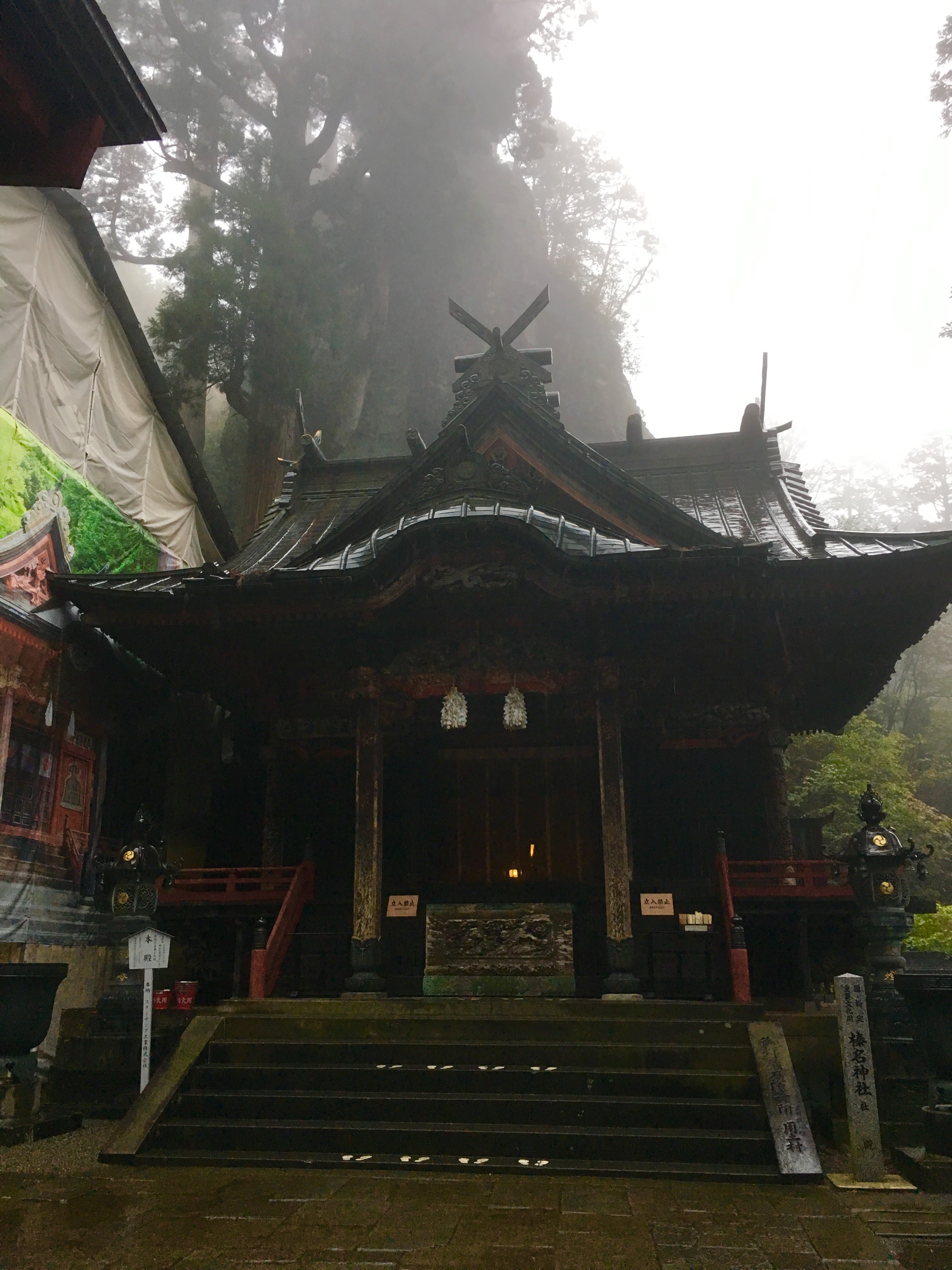 f:id:arice403s6c7:20191018151707j:plain:w500