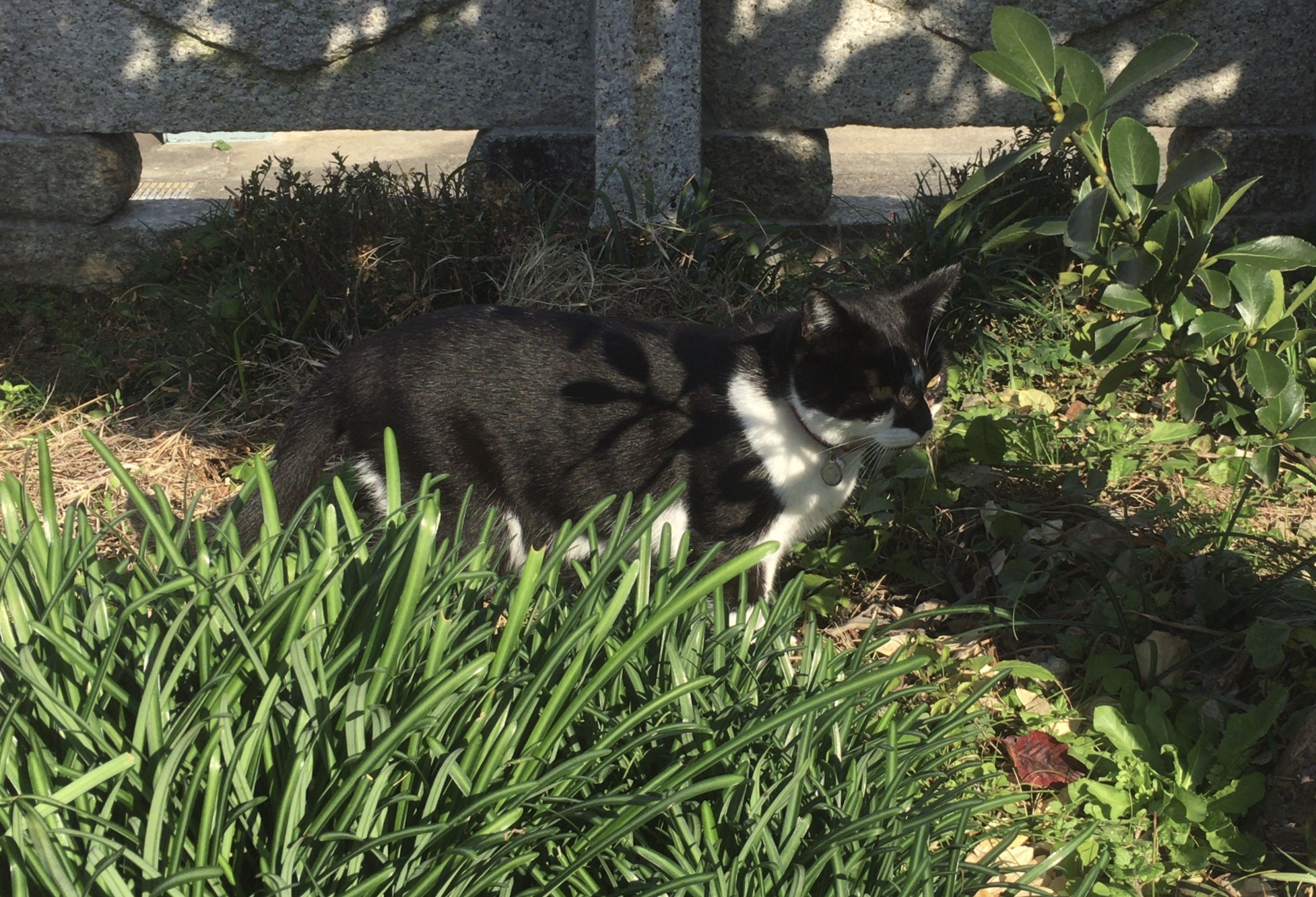 f:id:arice403s6c7:20191116105258j:plain