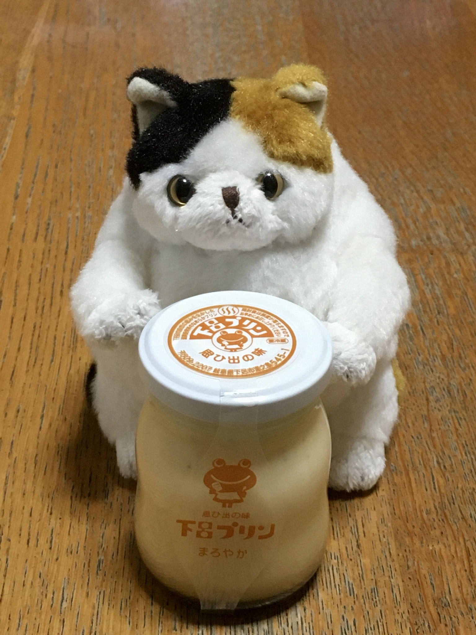 f:id:arice403s6c7:20191130193831j:plain:w500