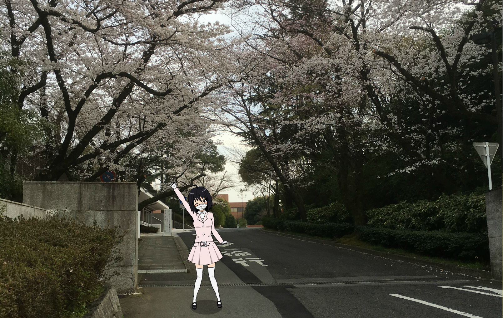 f:id:arice403s6c7:20200411110632p:plain