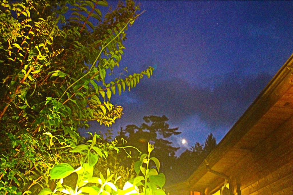 f:id:arico21:20160809180131j:image f:id:arico21:20160809180131j:image